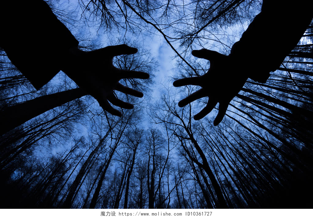 黑夜中树木下伸出一双手幽灵般黑暗森林中的鬼魅剪影